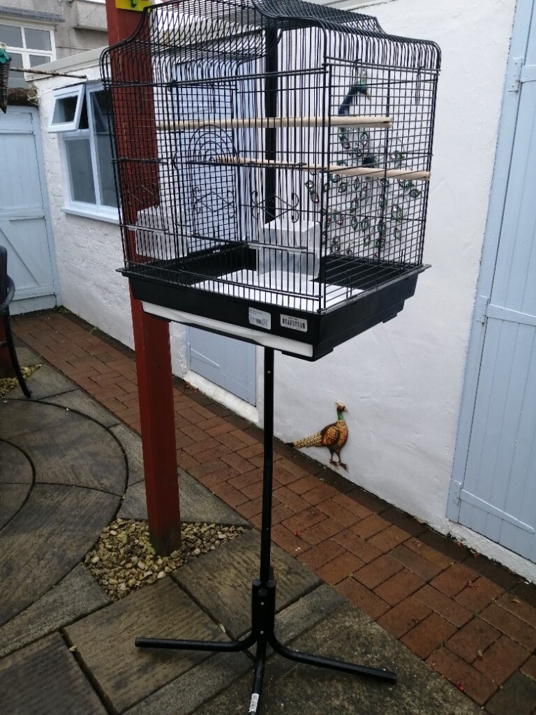 budgie cages gumtree